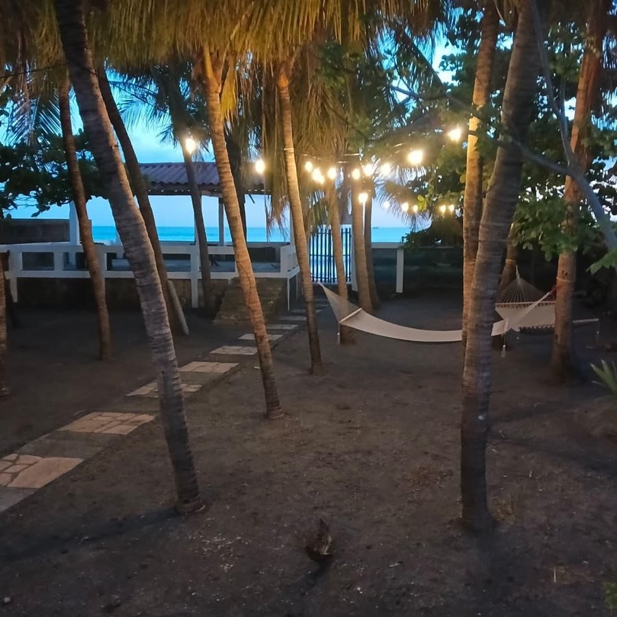Palmeras iluminadas con luces colgantes y el mar al fondo.